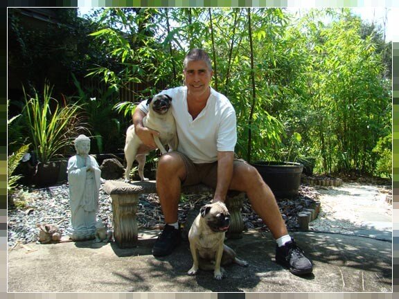 John Wagonis and his two older pugs The Pugs of Eclectic-ware